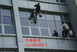 慶陽雅潔居家政保潔——專業保潔，品質之選